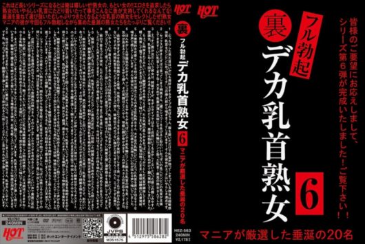 裏フル勃起デカ乳首熟女 6 マニアが厳選した垂涎の20名