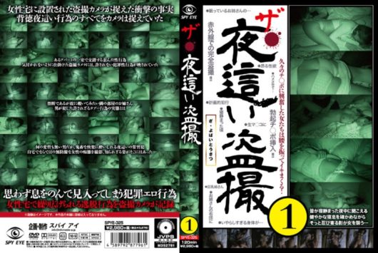 ザ・夜這い盗撮 1