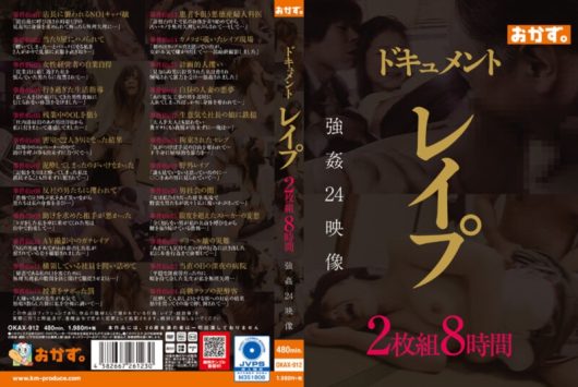 ドキュメント レイプ 2枚組8時間 D2