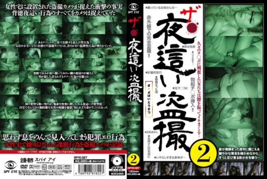 ザ・夜這い盗撮 2