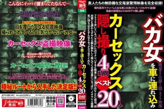 バカ女を車に連れ込みカーセックス隠し撮り 4時間ベスト20人