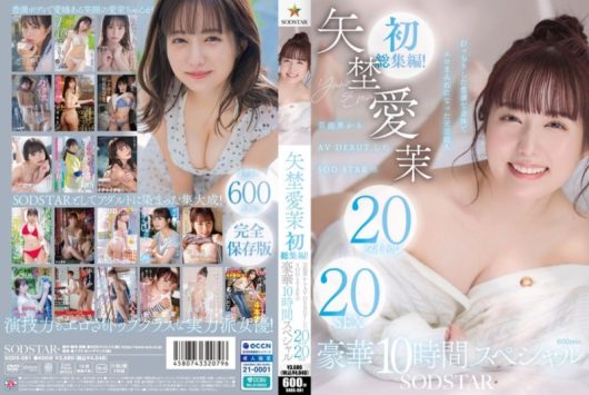 矢埜愛茉 初総集編！ 芸能界からAV DEBUTしたSODSTARの20タイトル20SEX 豪華10時間スペシャル D2